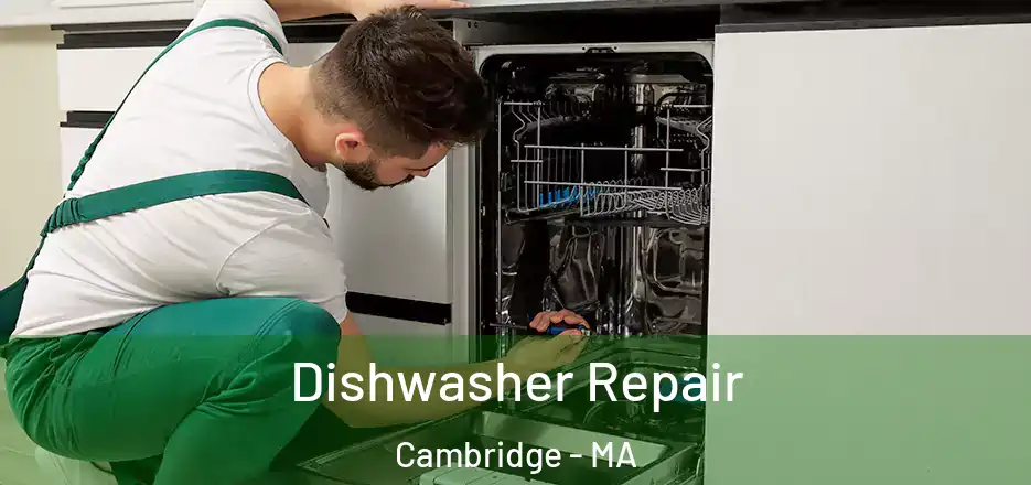  Dishwasher Repair Cambridge - MA