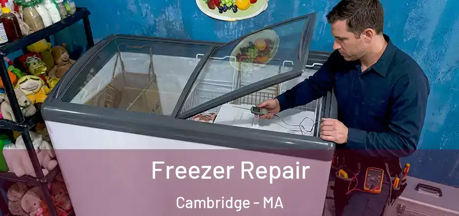  Freezer Repair Cambridge - MA